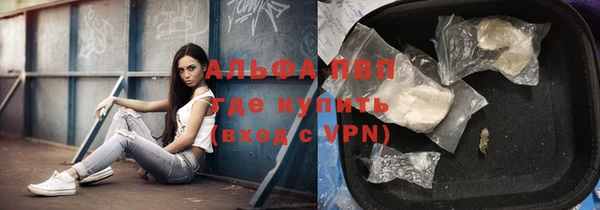 дживик Козельск