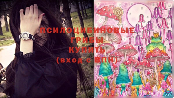 винт Козловка