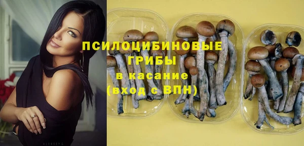 винт Козловка