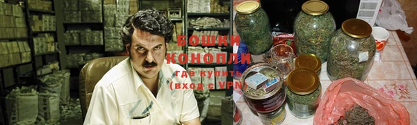 дживик Козельск
