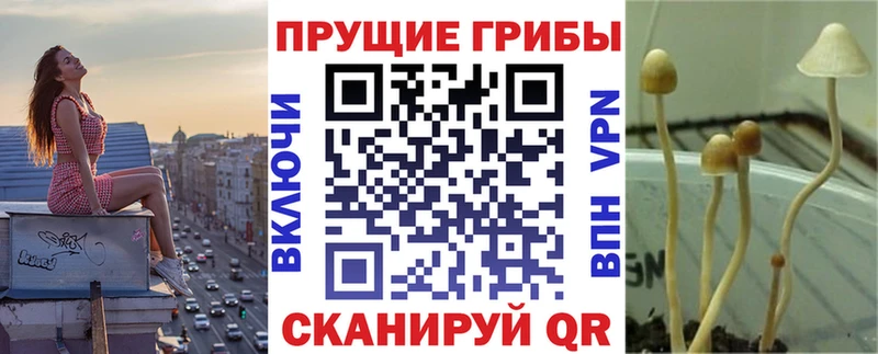 Купить где  Краснотурьинск  Псилоцибиновые грибы ЛСД 